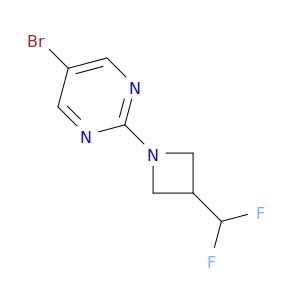 BK92466