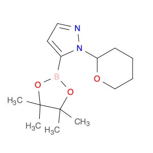 AR00338A