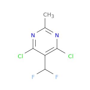 BF83557