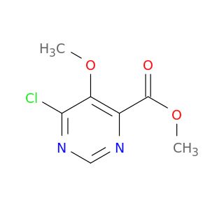 AW45481