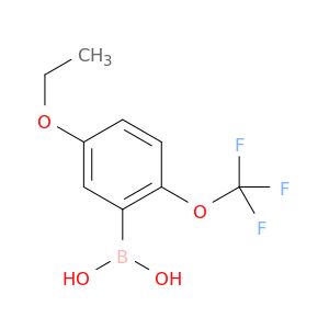 BP00113