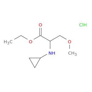 AY05460