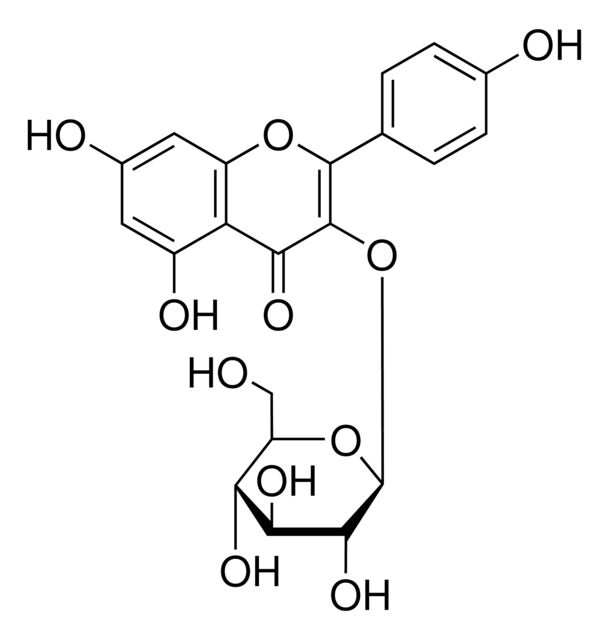 04500585