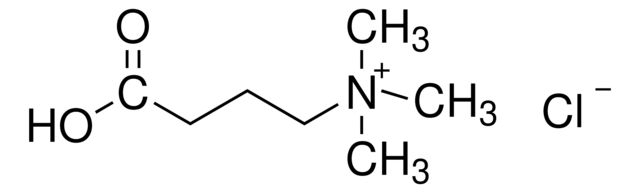 403245