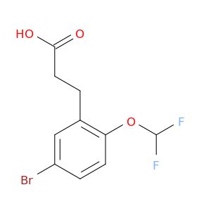 AO82496