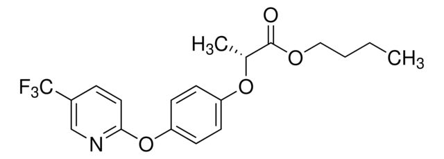 31712