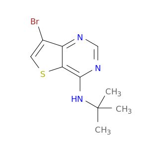BM55287