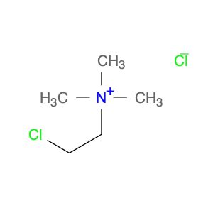 AR0036Y5