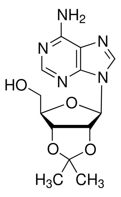 I22404