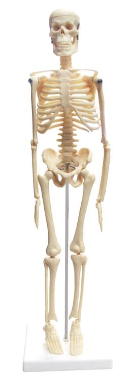 Img