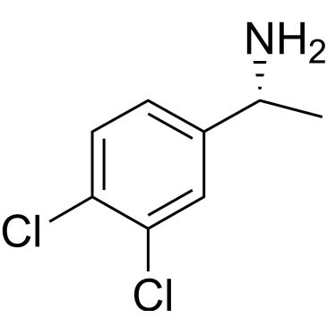 CS-0000335