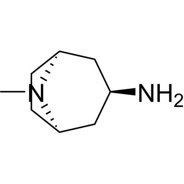 CS-0003871