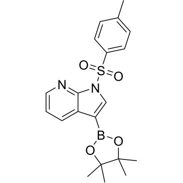 CS-0004209