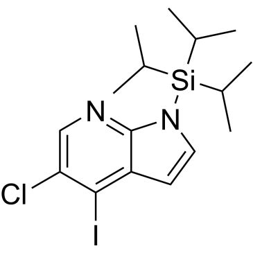 CS-0005217