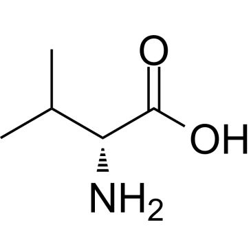 CS-0010218