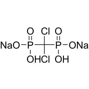 CS-0013221