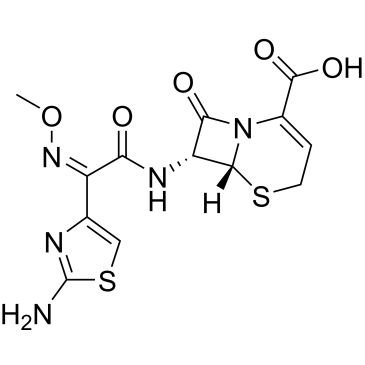 CS-0013519