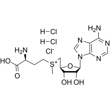 CS-0015586