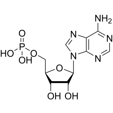 CS-0017523