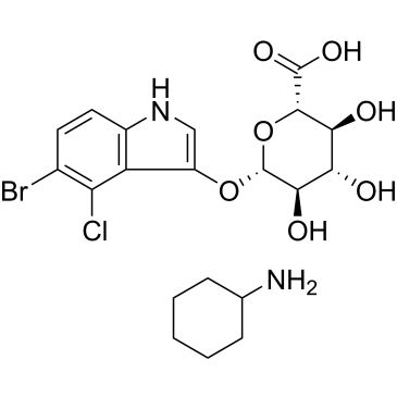 CS-0019449