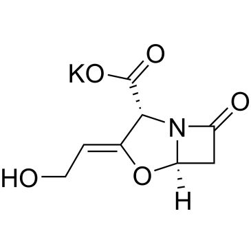 CS-0019771