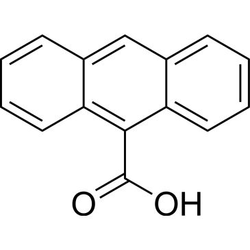 CS-0021167
