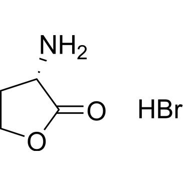 CS-0022019
