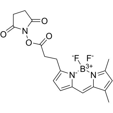 CS-0033074