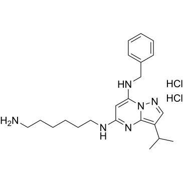 CS-0033308