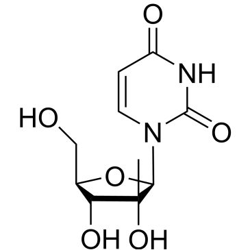 Img