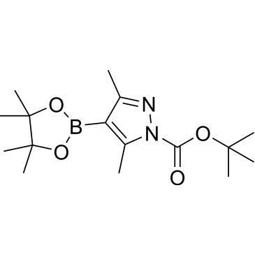 CS-0036251