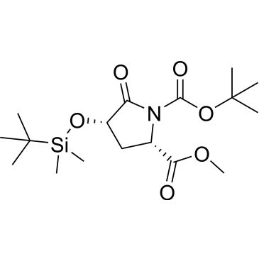 CS-0036555