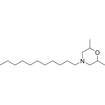 CS-0037428