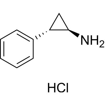 CS-0039988