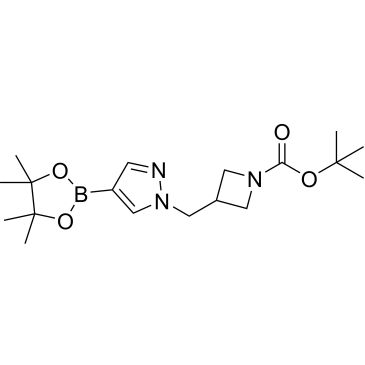 CS-0048331