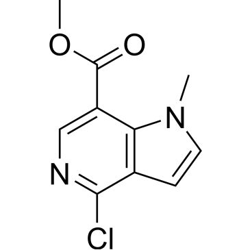 Img