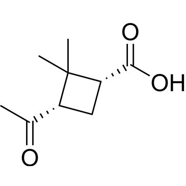 CS-0055522
