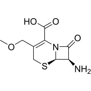 CS-0062022
