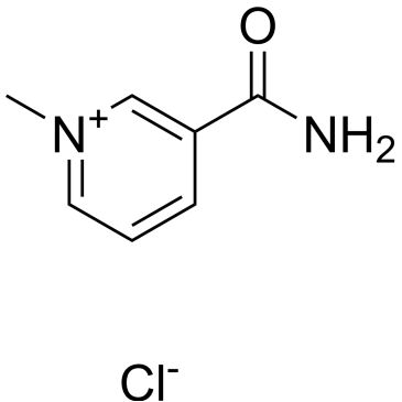 CS-0062648
