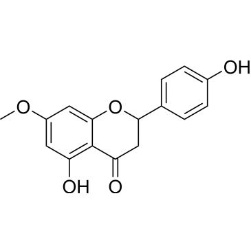 CS-0066106