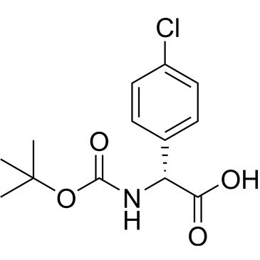CS-0067904