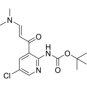 CS-0069037