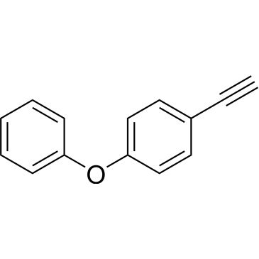 CS-0072304