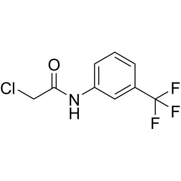 CS-0072595