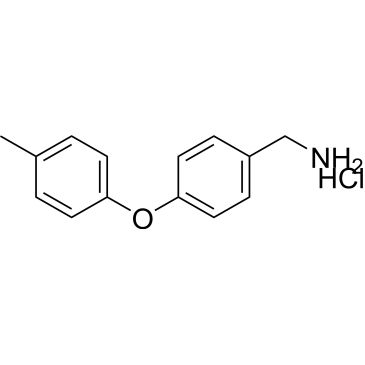 CS-0073025