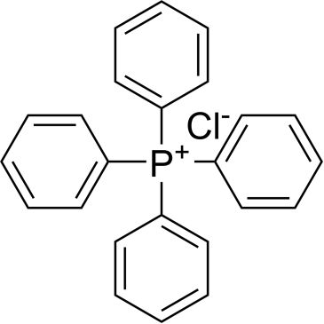 CS-0097966