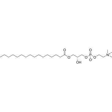 CS-0099321