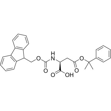 CS-0101000