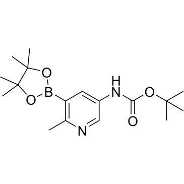 CS-0102114