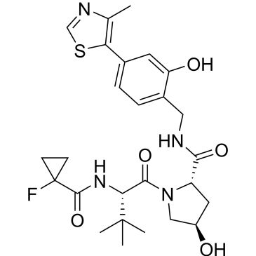 CS-0102911